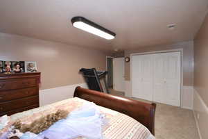 Bedroom with a closet and carpet floors