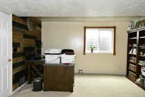Office featuring wooden walls and light carpet