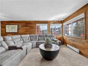 Carpeted living room with wood walls