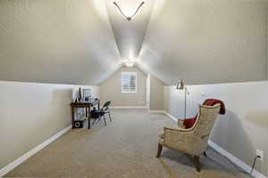 Family Room area featuring light carpet and a textured ceiling