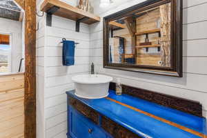 Bathroom with wood walls and vanity