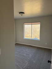 Carpeted spare room with baseboards and a textured ceiling
