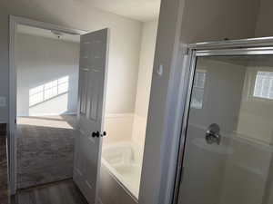 Bathroom with a bath, a shower stall, and dark carpet