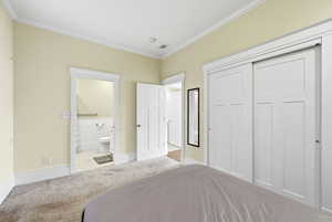 Carpeted bedroom featuring a closet and crown molding