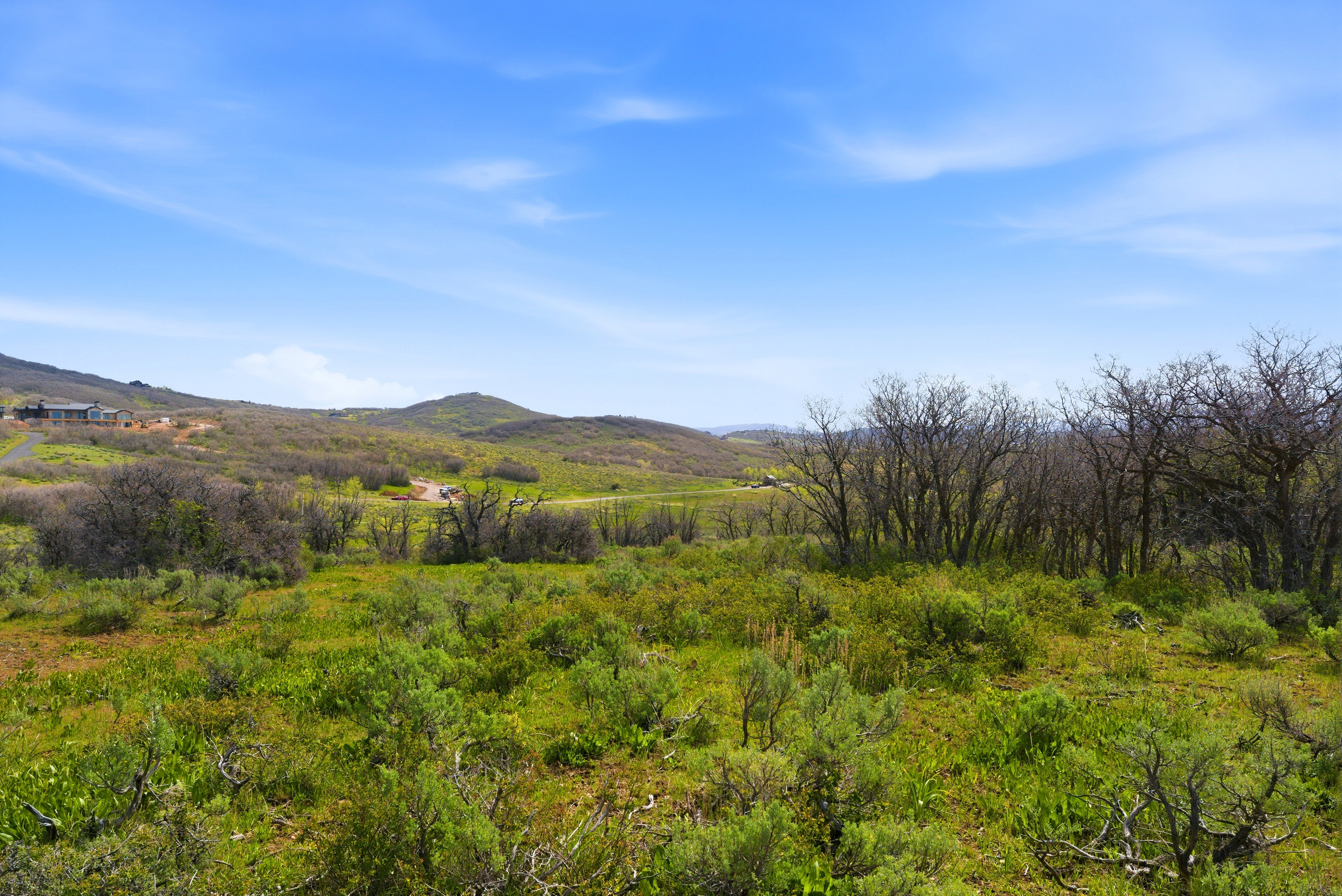 Expansive natural landscape featuring rolling hills and abundant green foliage