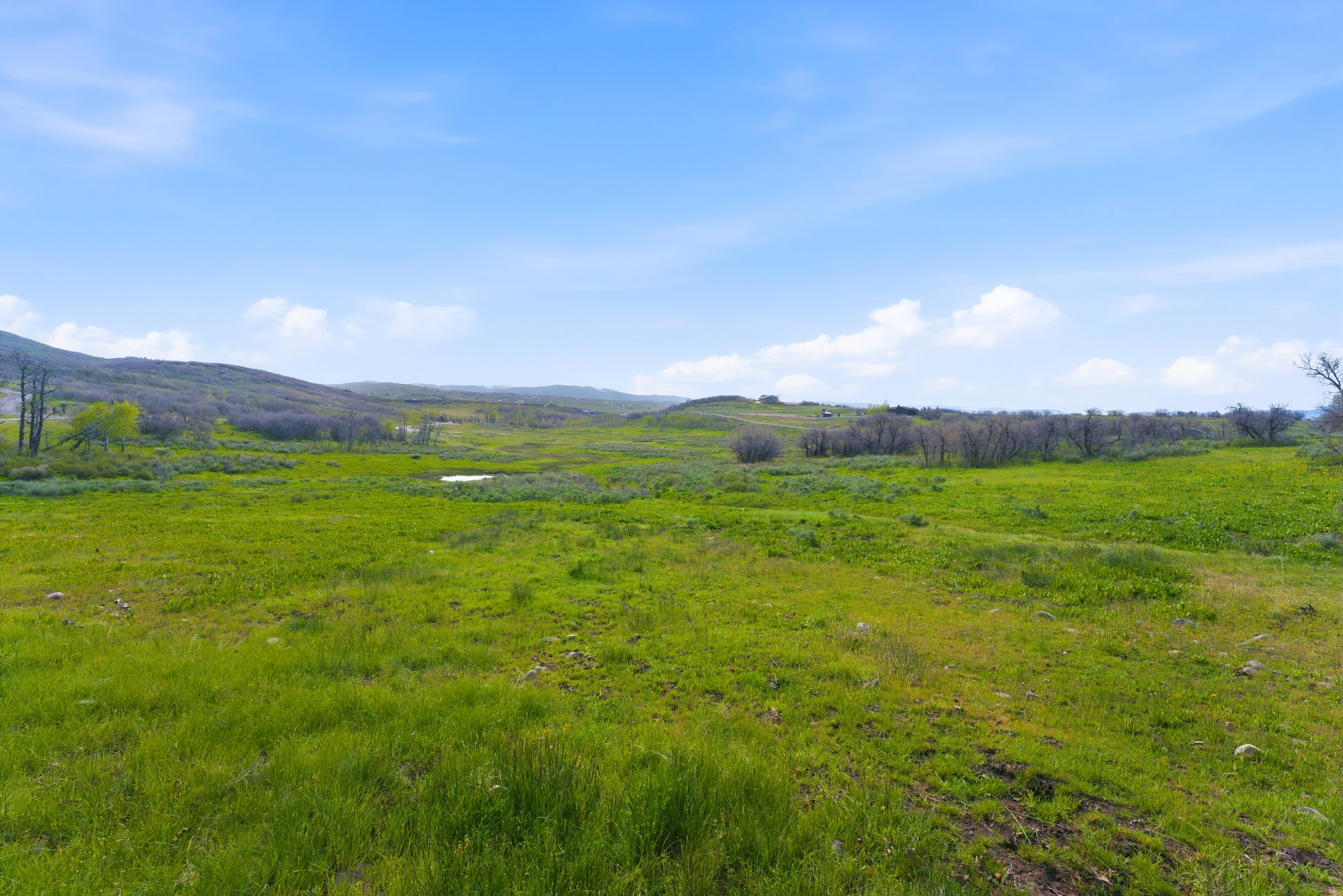 Expansive green landscape featuring varied terrain and distant hills under a bright sky