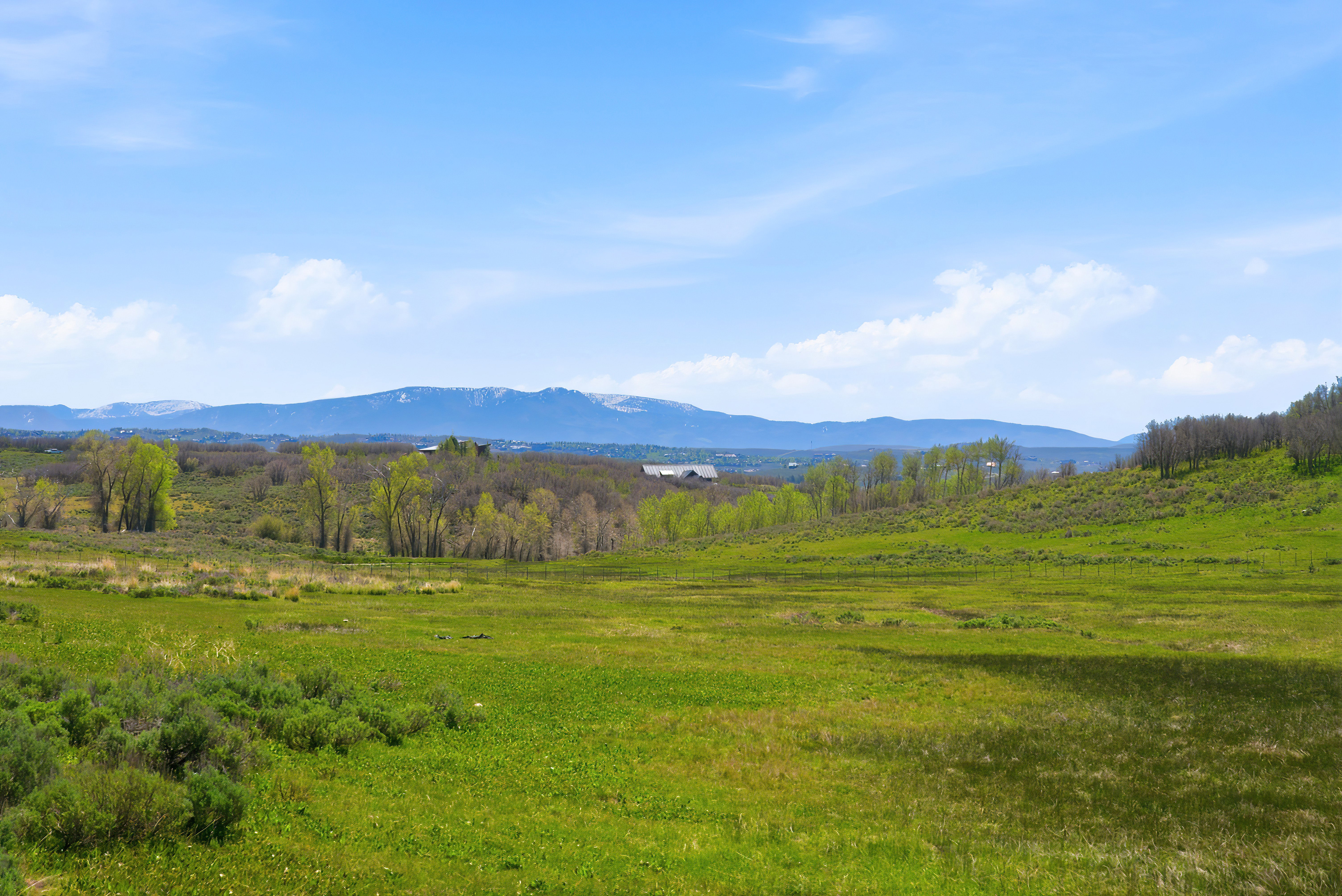Expansive green fields and natural vegetation with distant mountain ranges under a clear sky
