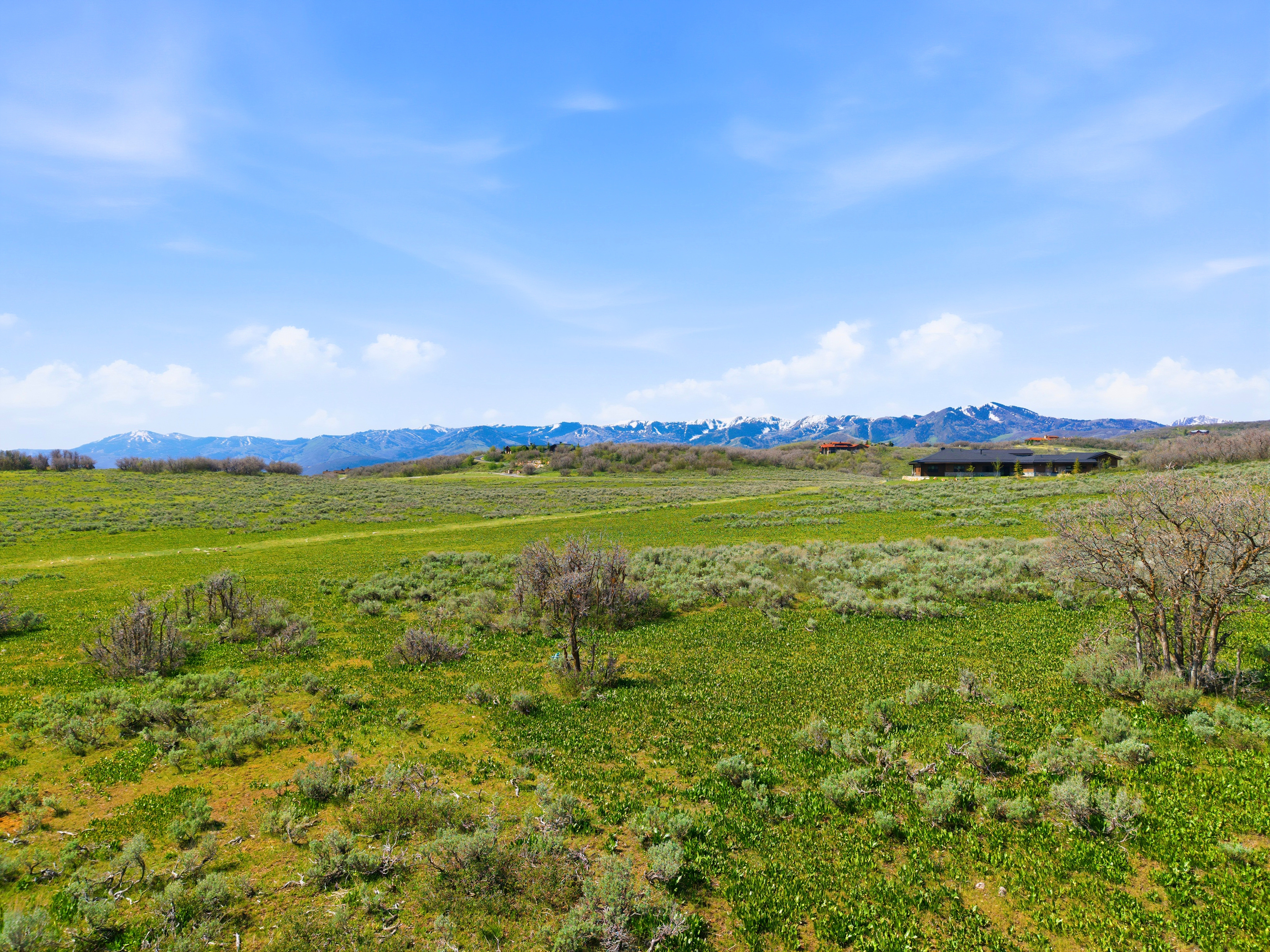 Expansive green landscape featuring varied foliage and distant mountain ranges with snow-capped peaks