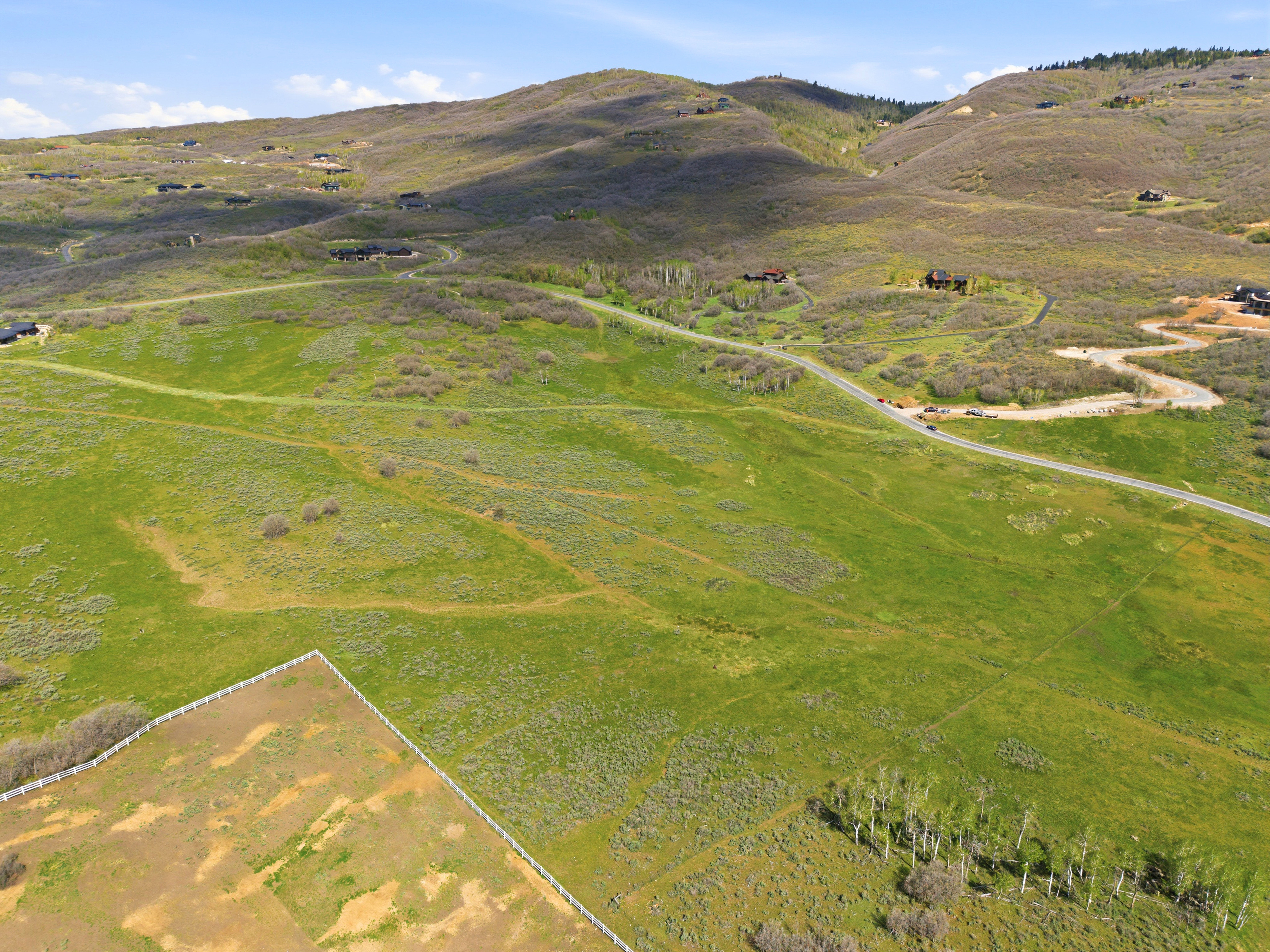 Expansive sloped acreage featuring established vegetation and a winding paved road