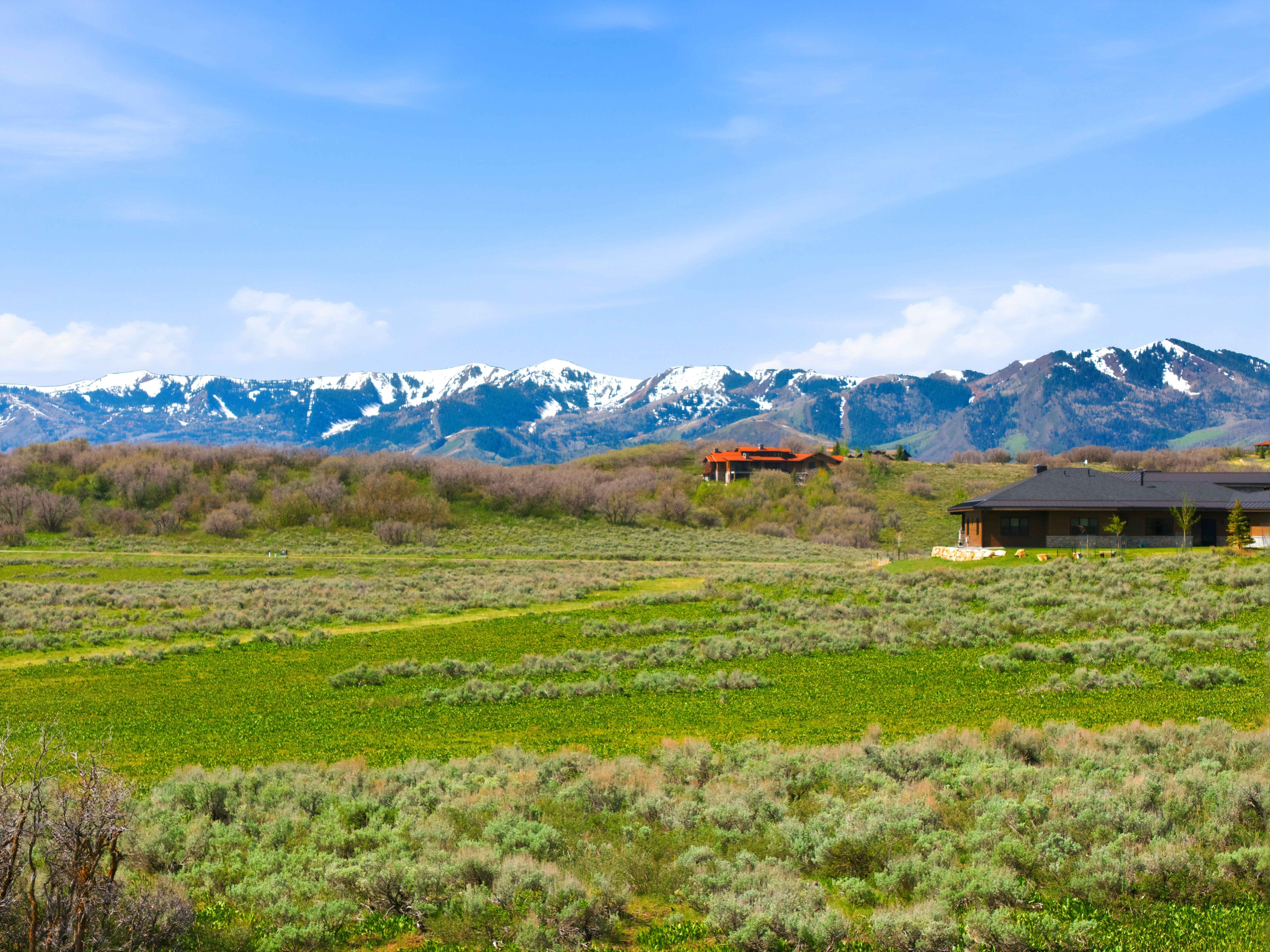 Expansive green landscape featuring low-lying vegetation and distant mountain ranges with snow-capped peaks