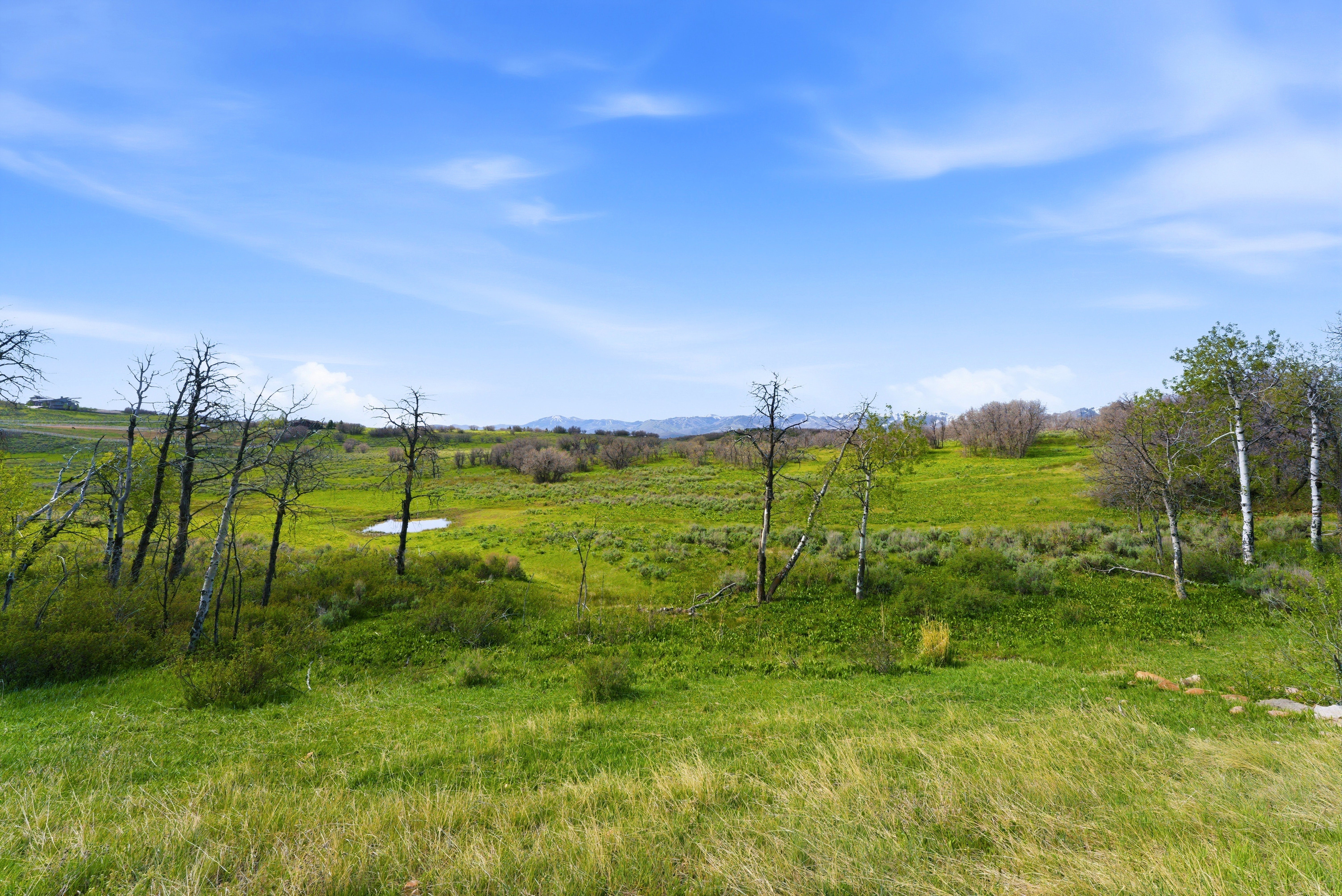 Expansive natural landscape featuring rolling green hills, scattered trees, and a visible pond