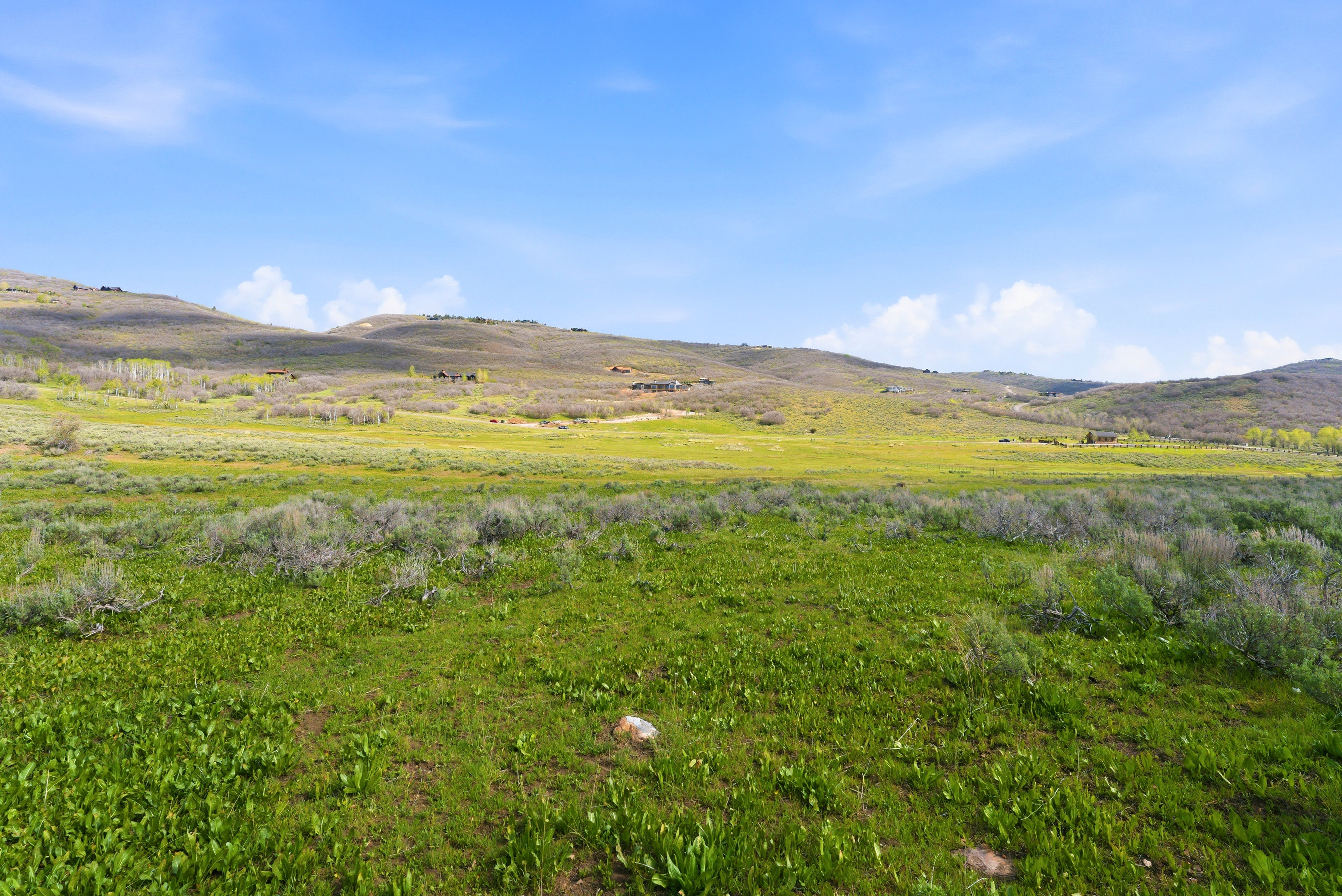 Expansive rolling landscape featuring abundant green foliage and distant elevated terrain