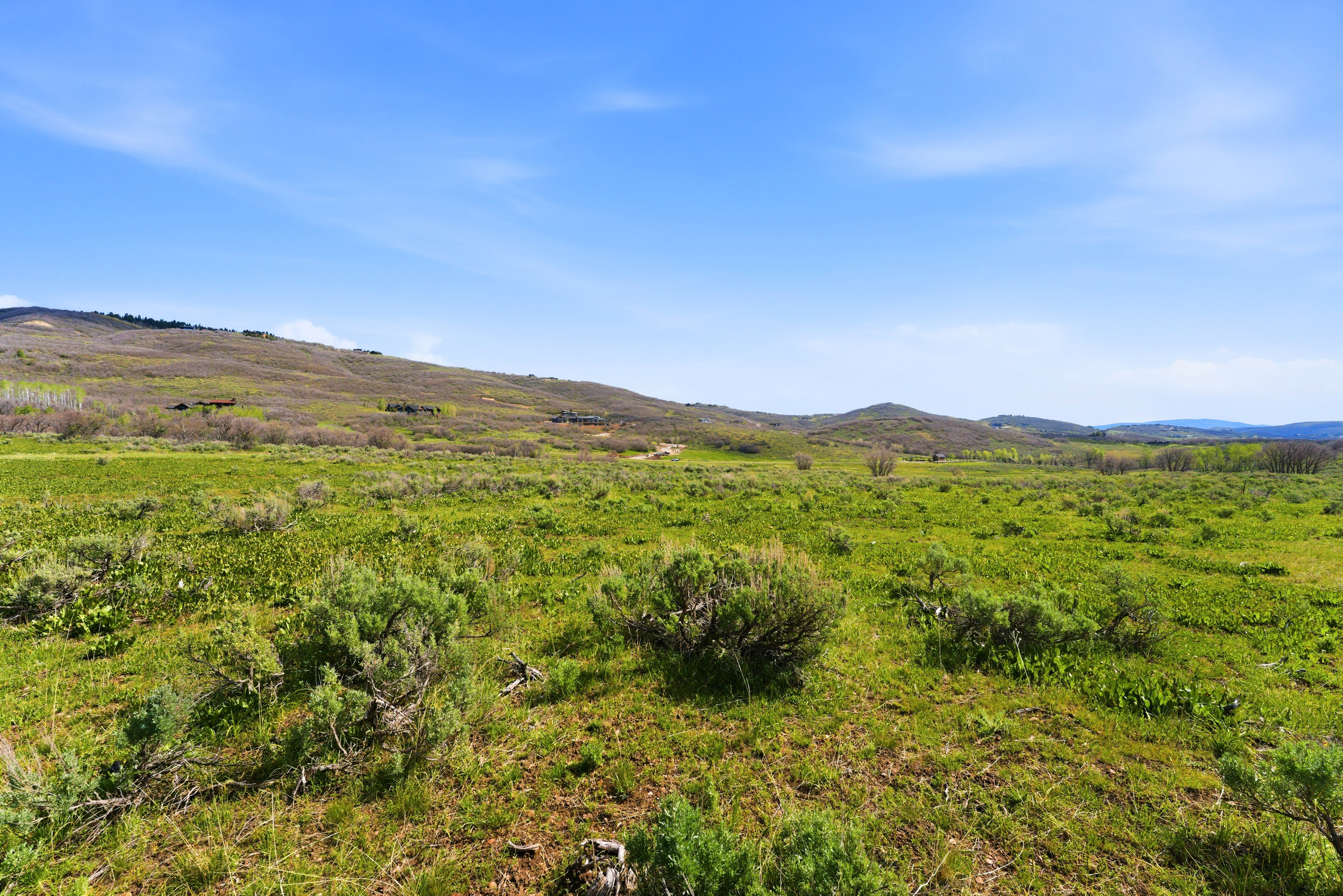 Expansive open land featuring verdant green foliage, rolling hills, and a clear blue sky