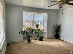 Living area featuring ceiling fan, healthy amount of natural light, and carpet