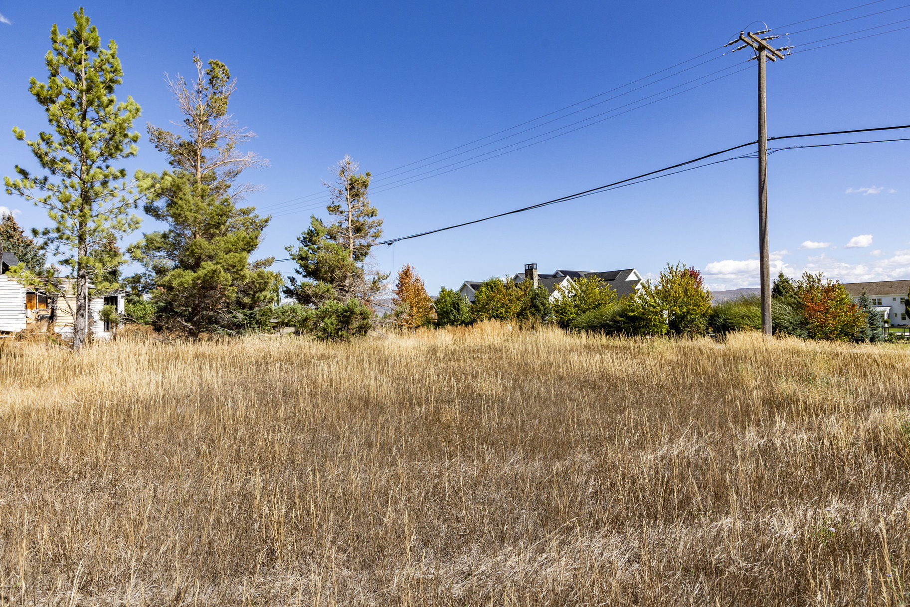 View of local wilderness