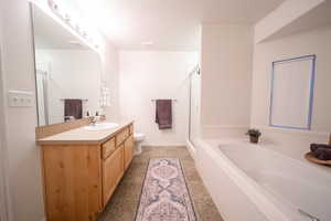 Bathroom featuring vanity, a bath, and a shower stall