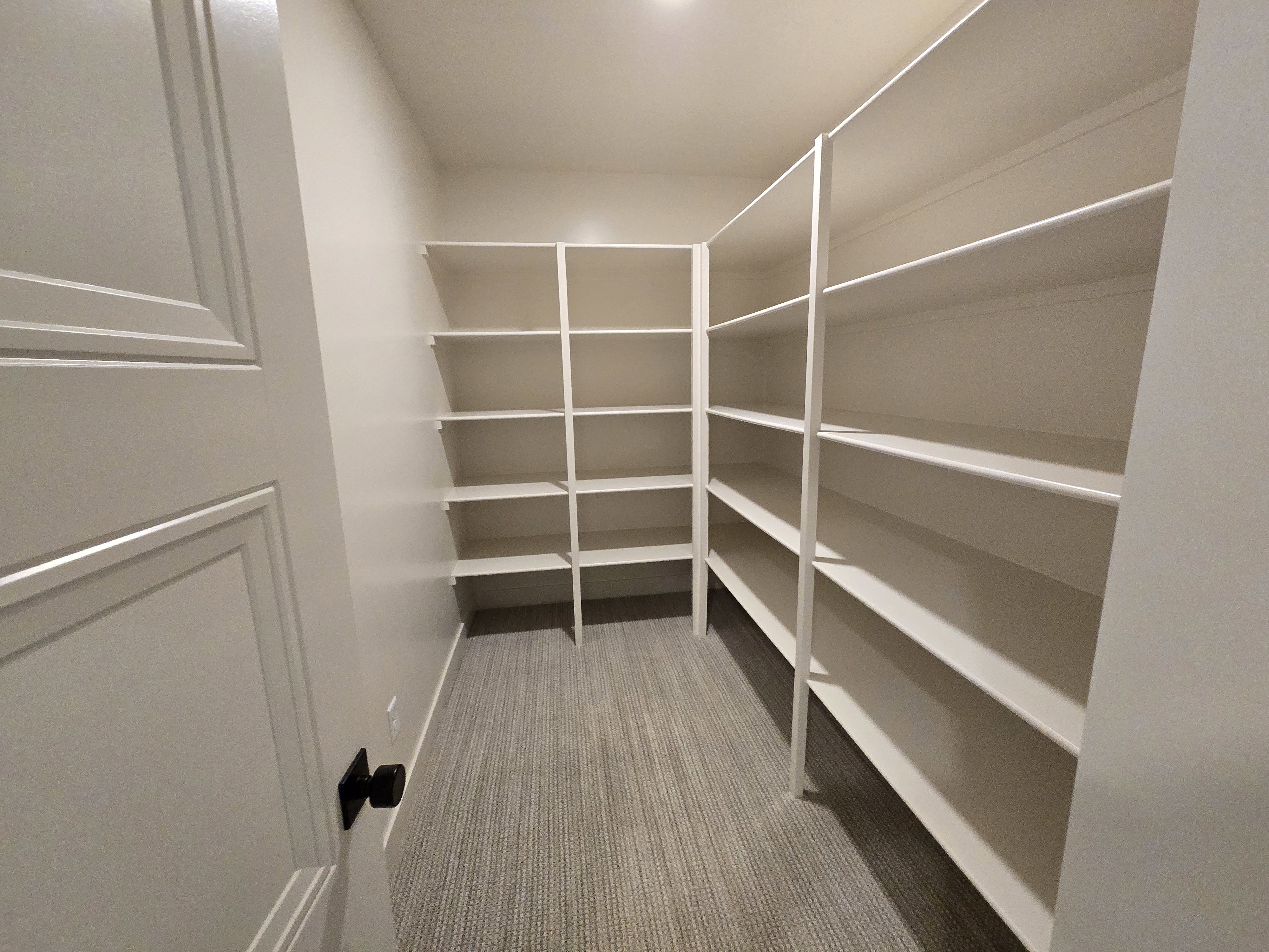 Spacious walk-in pantry featuring extensive built-in shelving, durable carpet flooring, and a solid panel door with matte black hardware