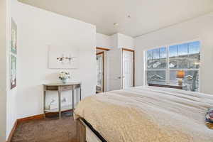 Bedroom featuring dark colored carpet and multiple windows