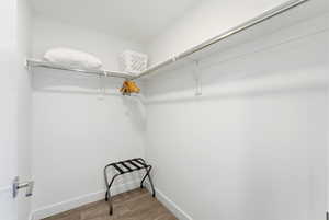 Walk in closet featuring light wood-style flooring