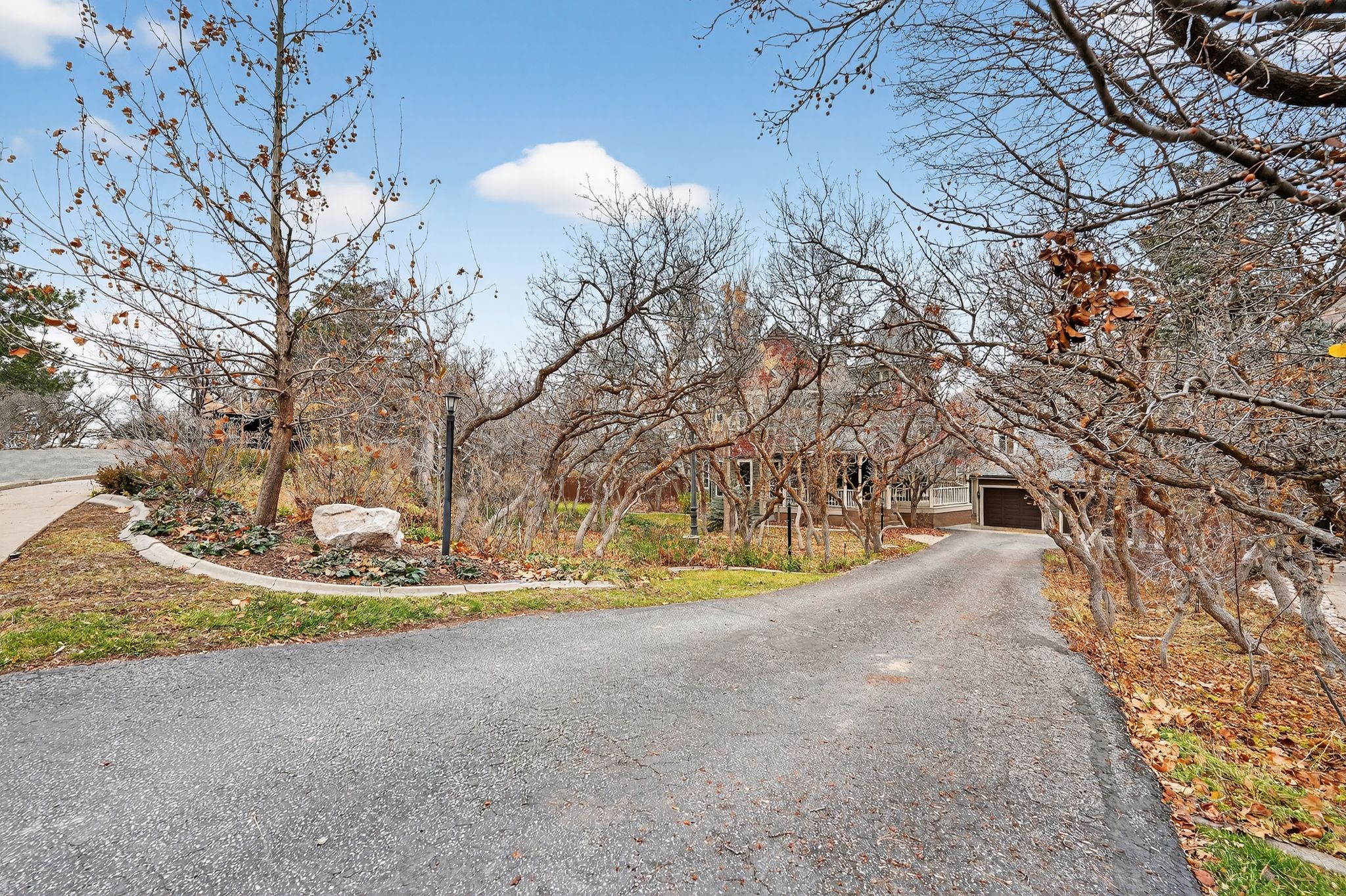 View of asphalt driveway