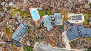 Bird's eye view of a pool area