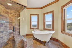 Full bath featuring a freestanding bath, a stall shower, ornamental molding, and tile patterned flooring