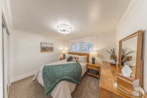 Carpeted bedroom with crown molding