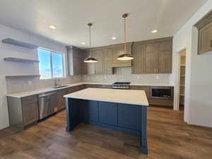 Kitchen with open shelves, tasteful backsplash, dark wood-style flooring, and stainless steel appliances
