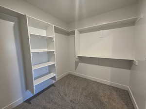 Walk in closet featuring dark carpet