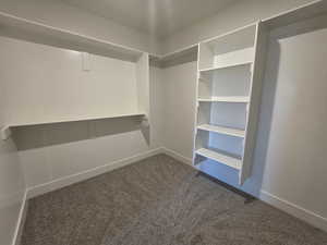 Walk in closet featuring dark colored carpet