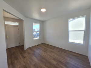 Entryway featuring dark wood finished floors