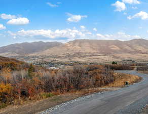 View of mountain background