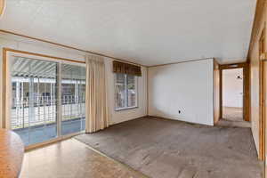 Spare room with carpet and a textured ceiling
