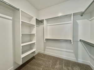 Walk in closet with dark colored carpet