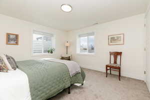 Bedroom with multiple windows and carpet