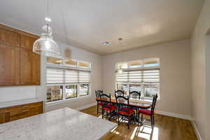 Dining room featuring wood finished floors and healthy amount of natural light