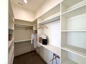 Walk in closet with dark colored carpet