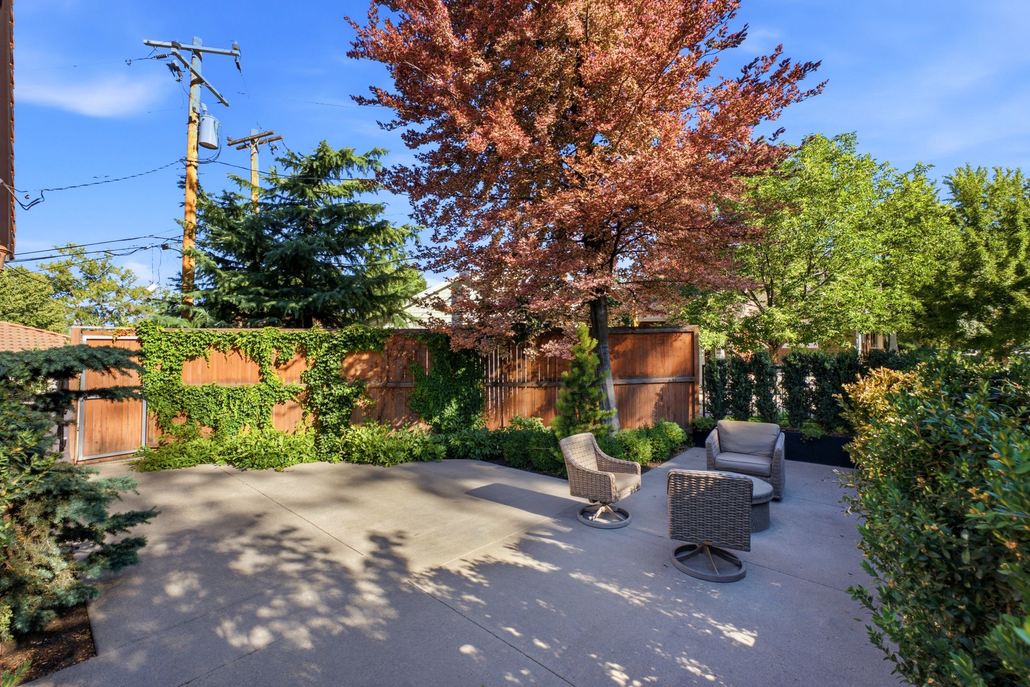 Patio terrace