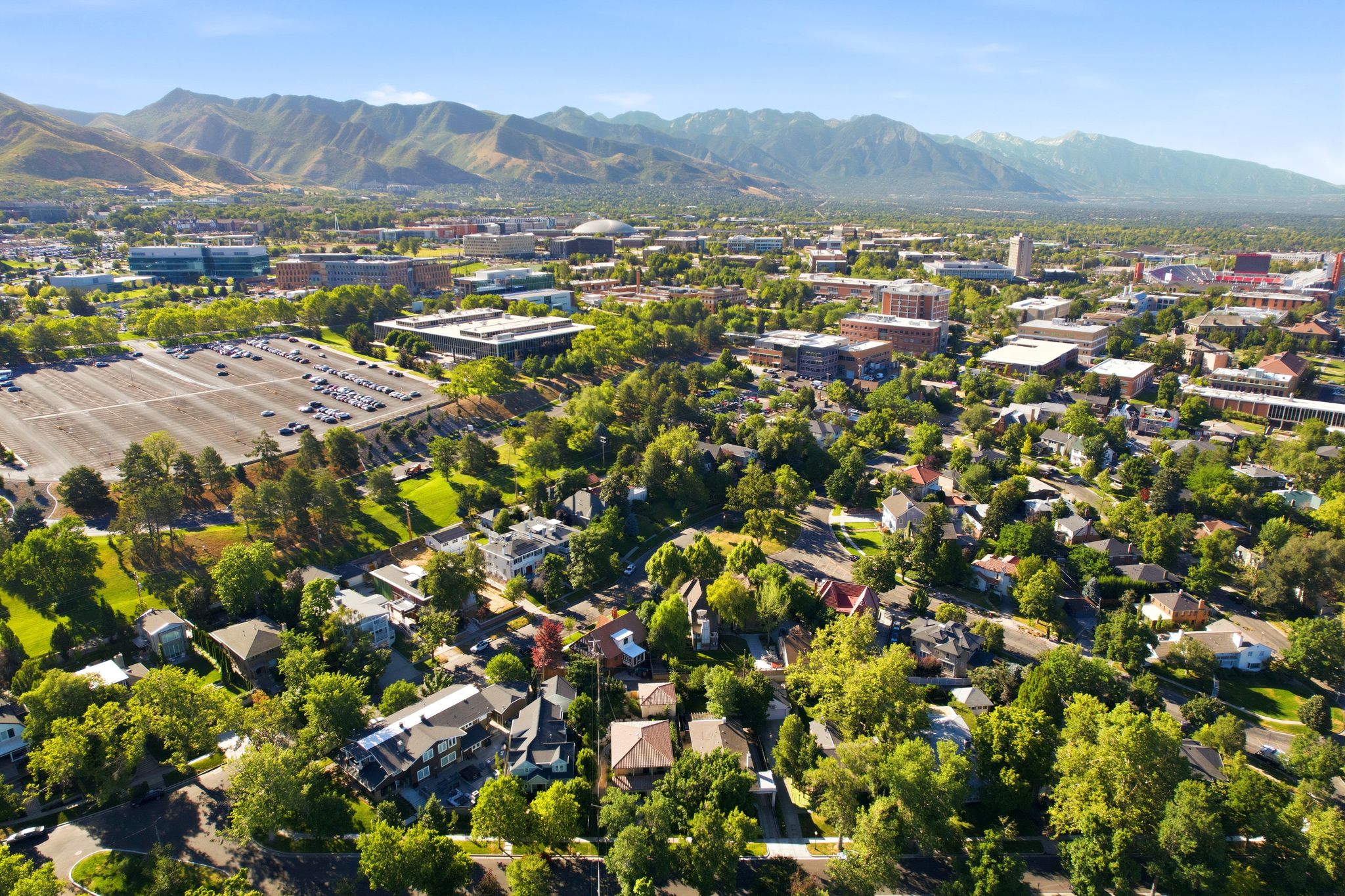Expansive aerial view showcasing a vibrant urban landscape with abundant mature trees and residential properties