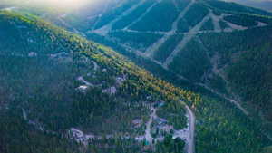 Mountain view with a forest