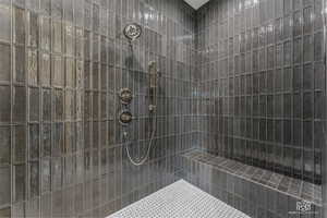Full bathroom with tiled shower