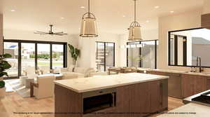 Kitchen featuring hanging light fixtures, stainless steel dishwasher, healthy amount of natural light, and light wood-style flooring