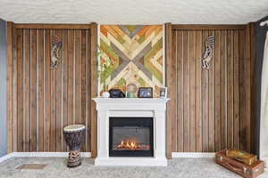 Detailed view of a textured ceiling, carpet floors, a glass covered fireplace, and wood walls