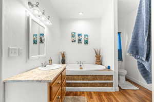 Full bath with light wood-style flooring, vanity, and a bath
