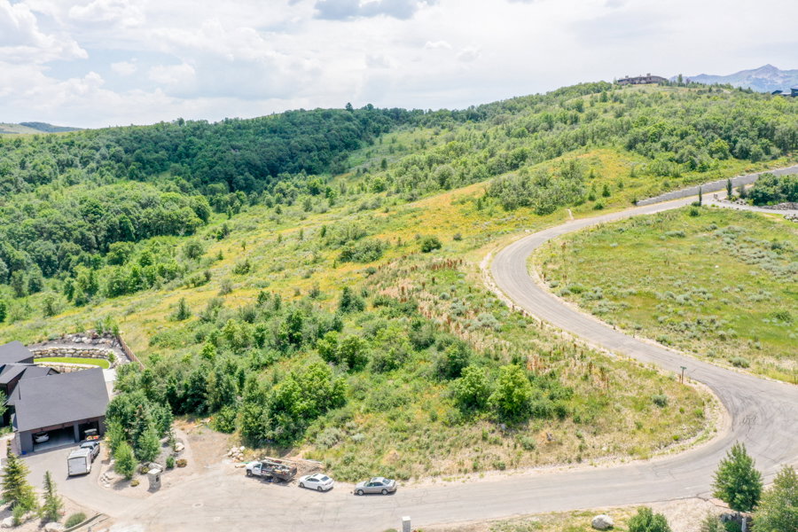 Bird's eye view of a forest