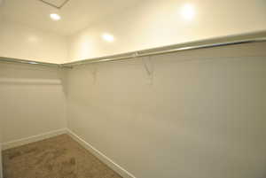 Primary Walk in closet with carpet floors