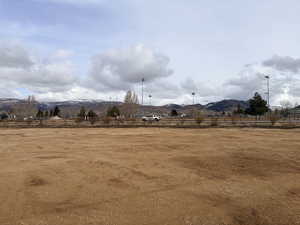 View of yard featuring a rural view and a mountain view