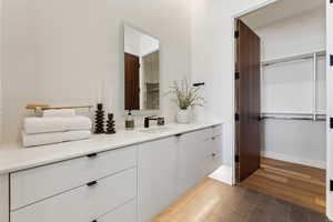 Bathroom featuring vanity, a walk in closet, and dark wood-type flooring