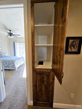 View of closet and Laundry shoot.