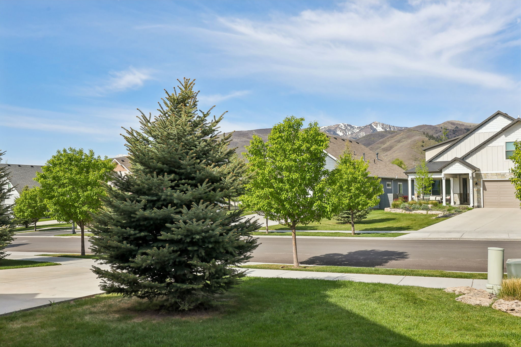 Modern residential street featuring a manicured lawn, established trees, and a concrete driveway